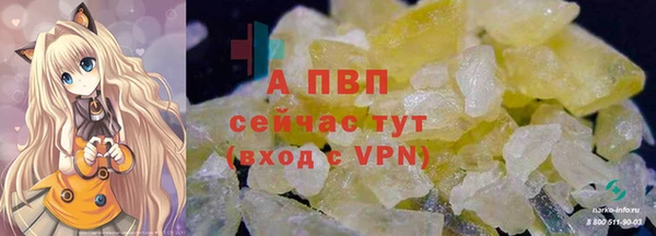 трава Бородино