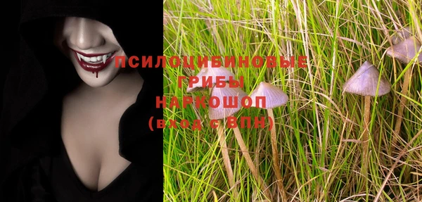трава Бородино