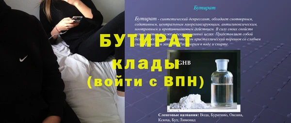 индика Бронницы