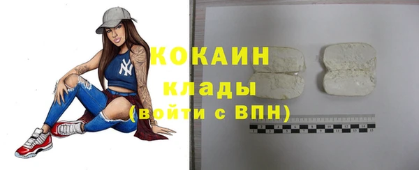 индика Бронницы