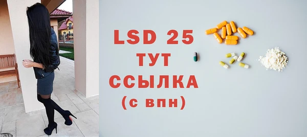 индика Бронницы