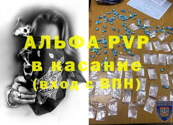 трава Бородино