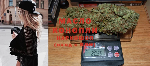 индика Бронницы