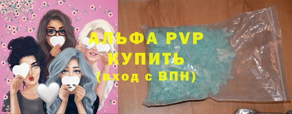трава Бородино