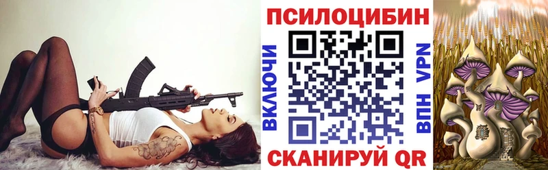 как найти закладки  Новоржев  Псилоцибиновые грибы ЛСД 